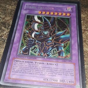 Dark Paladin Trading Card